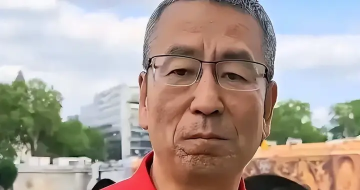 贬低全红婵、已移居国外、儿子入英国籍？白岩松到底动了谁的蛋糕