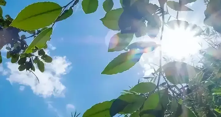 “上午大暑丢扇，下午大暑热透”，今年大暑交节在几点？有啥预兆