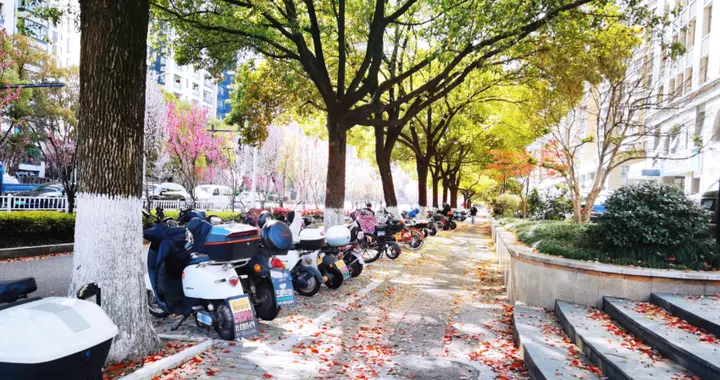 帮忙念个数字？杭州街头新骗局，你一张嘴就可能欠下几十万