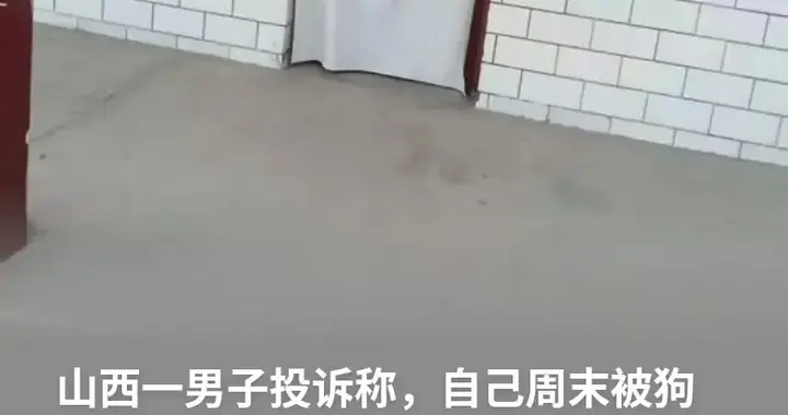被狗咬伤后去医院打疫苗跑了两家医院6小时后才打上