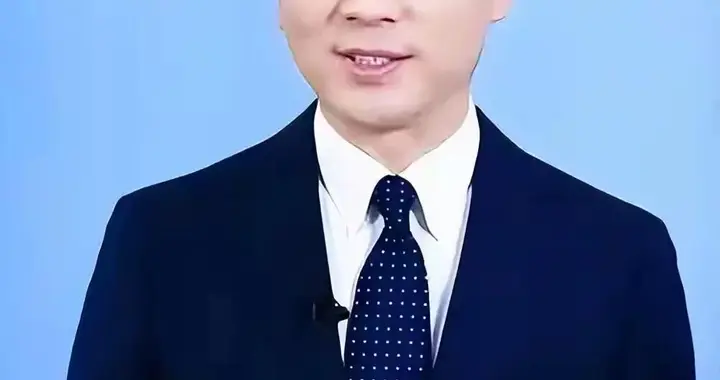 央视一哥"康辉：丁克一辈子，却在四十六岁接到一通电话让他后悔