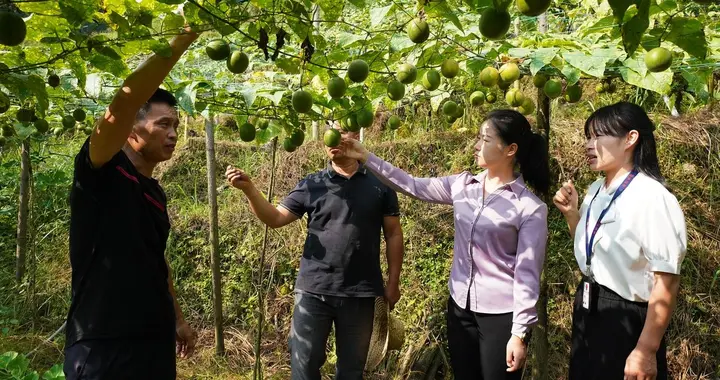 零容忍，严肃整改问责！16省已归还挪用的惠农补贴37亿