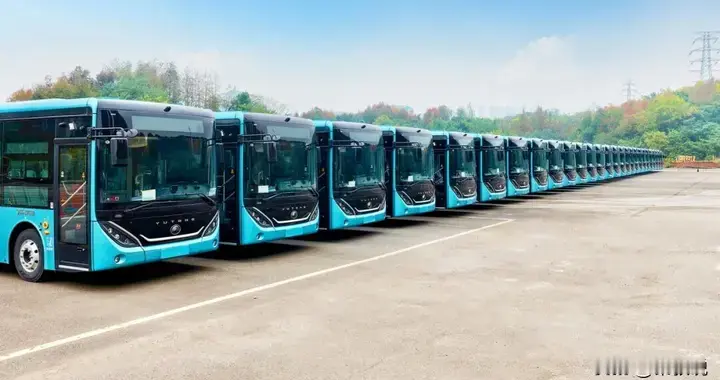 从2025年中国车市全景看宇通的引领之道