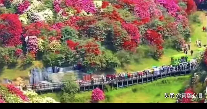 我要做一个春天里的人