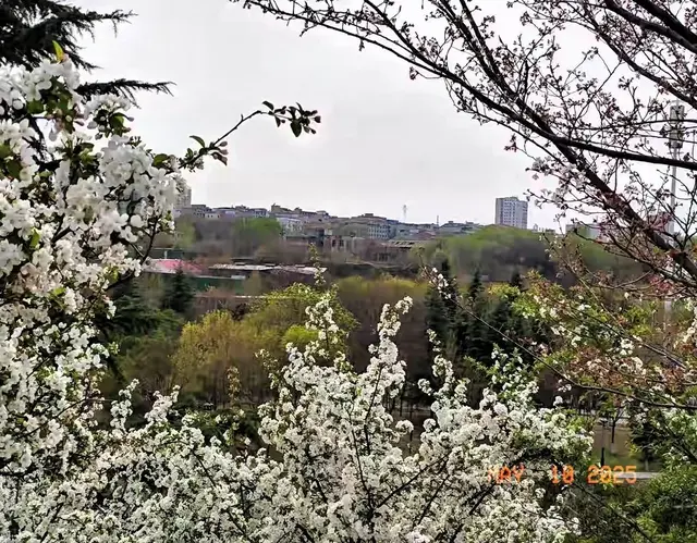 53岁，更年期渡劫中，从2024年开始，才懂得晒太阳是真的好啊