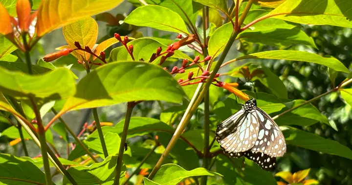 老年痴呆可提前20年潜伏，中青年人要警惕这5个症状！