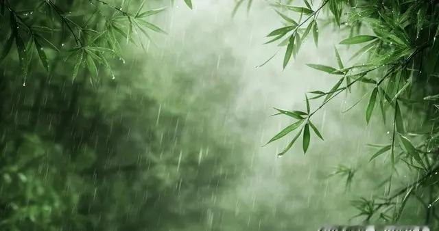 上海明天午后迎小雨！最高温23℃但火险4级，这些出行细节要注意