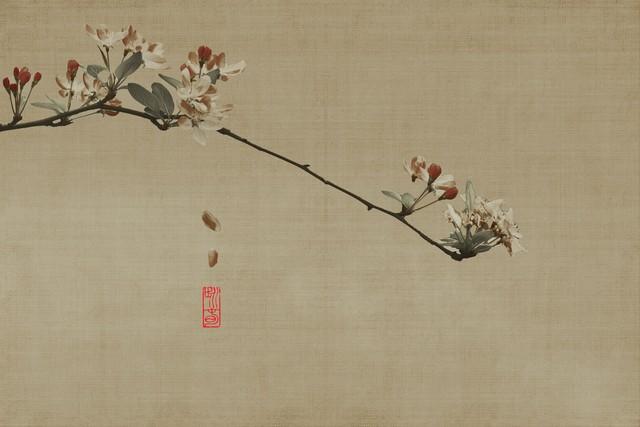 学生党怎么变白