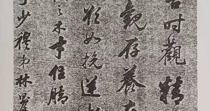 林则徐行书作品《观操守》，用笔华丽，正气凛然