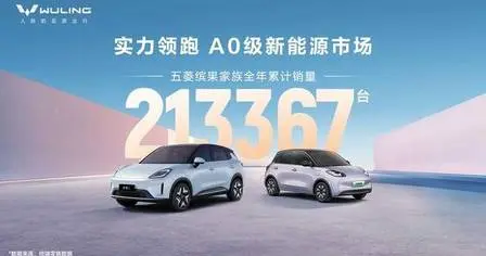 缤果家族2025全年热销213367辆！实力领跑A0级新能源市场
