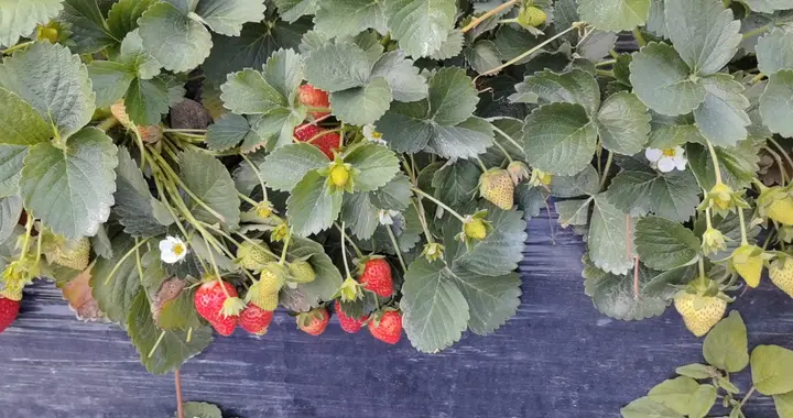 我发布了一条视频，快来看看吧～