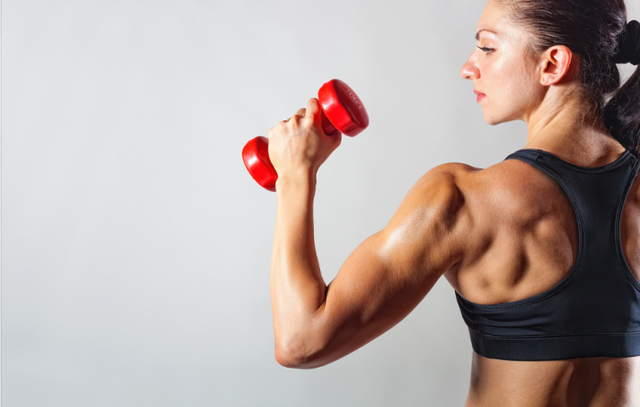 为了保留肌肉、刺激肌肉的生长，应该如何训练？