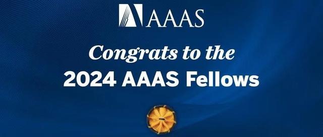 2024 AAAS Fellow名单出炉：华人学者刘威入选