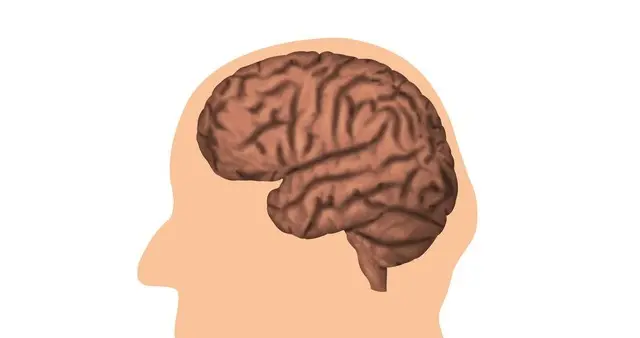 老年痴呆调理有良方！3种经典中成药，对症改善认知记忆差