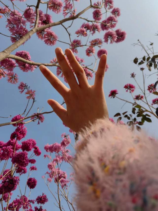 人在最愚蠢的时候，往往最自信