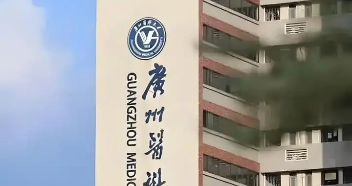 医科大附属医院院长和医科大副校长，谁的行政级别更高