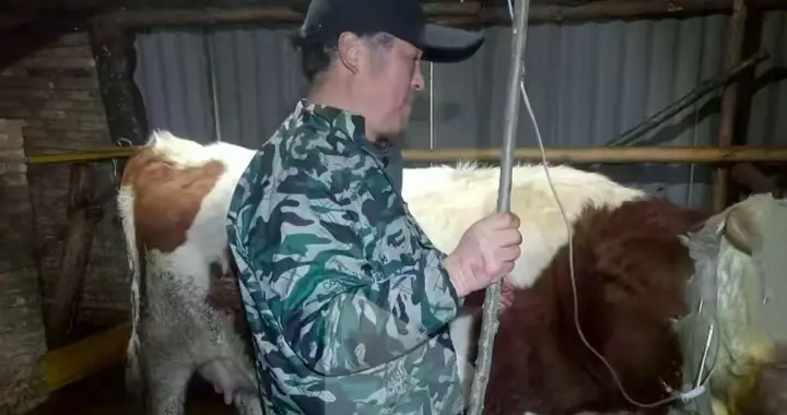 一个乡村兽医的30年——服务于民 坚守初心