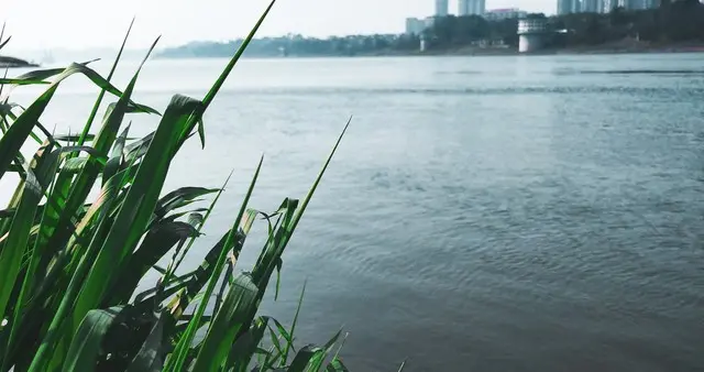 小满驾到！万物都在“将满未满”，巴适得板～