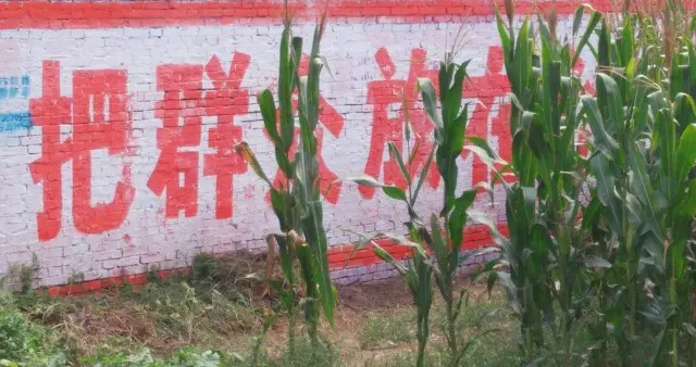 卸任村干部，这三句话憋了一辈子，今天替你们说出来