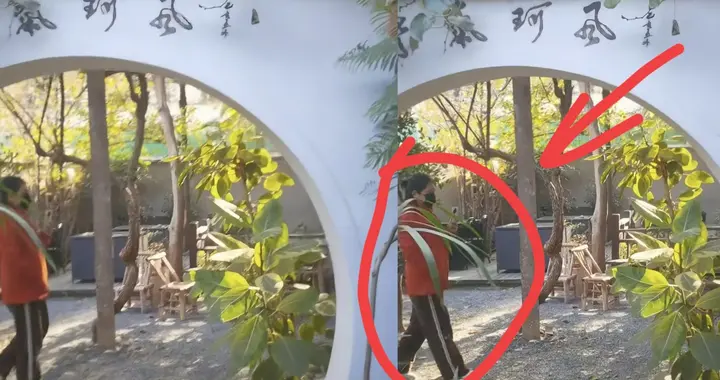 何晴离世第10天 很多人打卡何晴老宅 王卫国好评不断 廖京生仍在辟谣