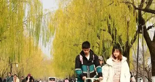 杭州的冬是早晚的事，中午的暖阳似“小阳春”，淮安人却要被冻哭