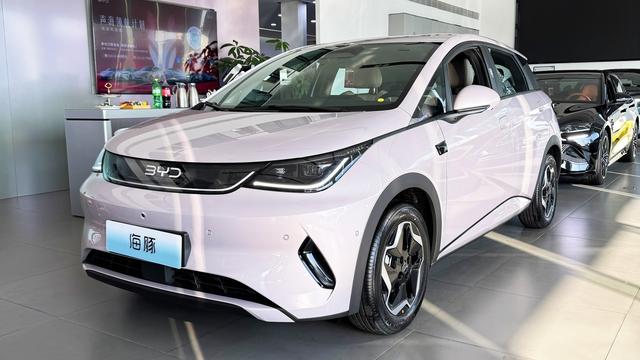 不醉繁华只悦君：比亚迪海豚1月销量569