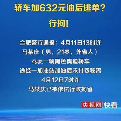 我爱吃西瓜：合肥加油632元逃单男子，被