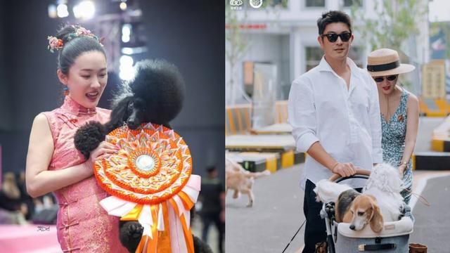 橙子不甜：杜江霍思燕结婚11年没办婚礼