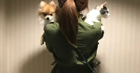 太意外！电视女神现实中居然这么小只