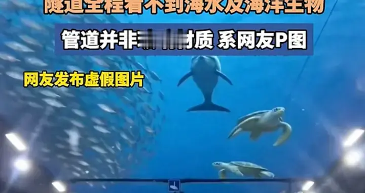 家长带孩子打卡大连“海底隧道”，孩子发现没海景当场大哭，官方辟谣：网传...