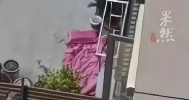 28岁女教师新婚当天坠亡，家属披露大量细节