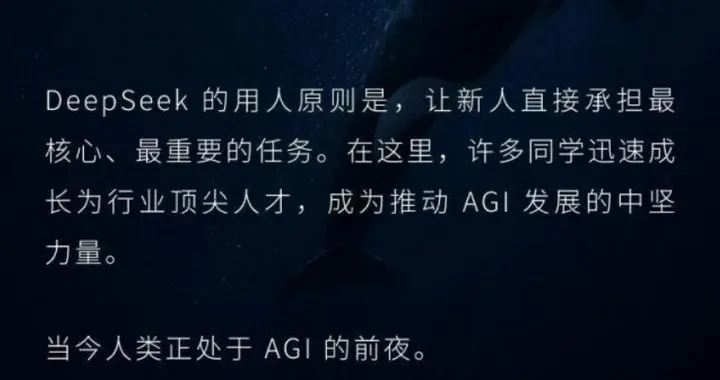 首轮融资后的DeepSeek,宣布进行大规模招聘,这一举动意味着什么？