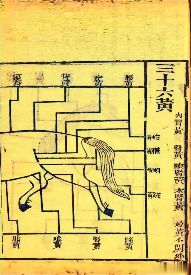 清三义堂藏版《疗牛马驼集》二