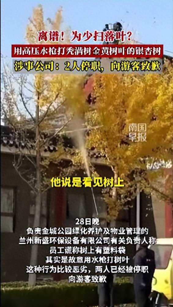 甘肃一公园用高压水枪打秃满树金黄树叶的银杏树，涉事公司：2名员工停职，向游客致歉