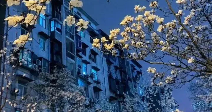 宝，想让某人心疼你，就要这样说