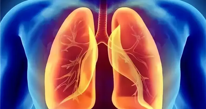 春天风大干燥，医生建议多吃这4种白色食物，好处多得很