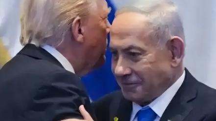 八月扒娱：美国一位学者表示，现在能停止中