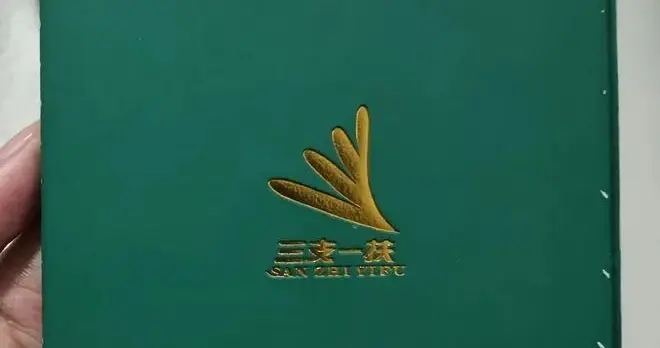 河南三支一扶查实作弊！重磅通报，陪跑者需要一个彻底真相