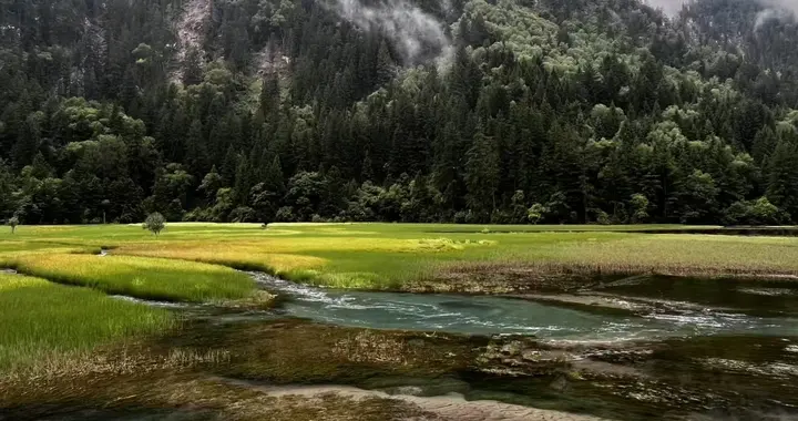 70岁后 如何活出有尊 严 不给国家和家人增加负担