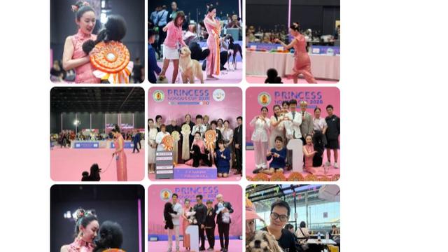 大公无私de贝贝：霍思燕真是有点本事在身