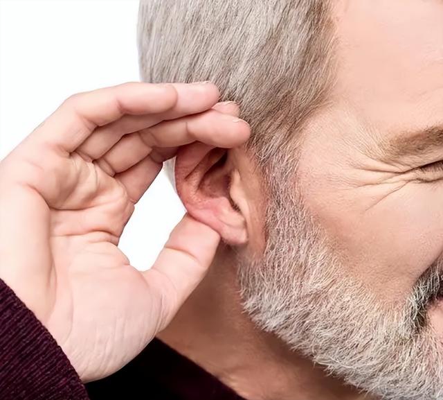 茶叶是打通人体经络最有效的食品？复旦研究：不同茶叶有对应归经