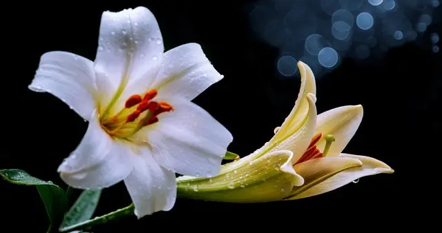 人品低劣的人，一辈子都人品低劣，以低劣为厉害为能力沾沾自喜