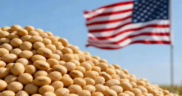 中方果断暂停交易，特朗普重启301调查，中美再战，结局早已注定