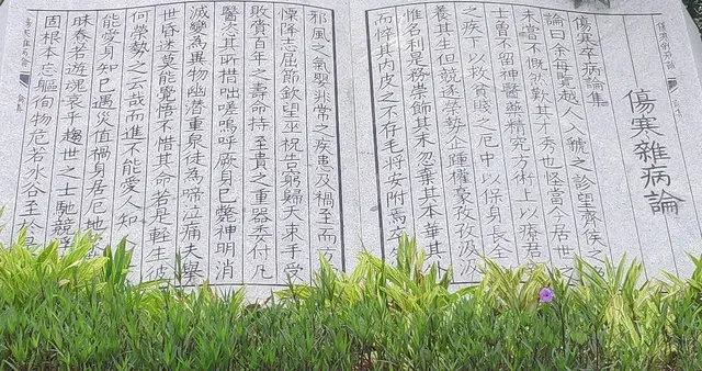 伤寒厥阴病辨治核心：2主证3变证6兼证，对应药方全梳理