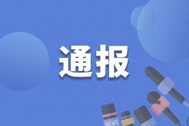 贵阳市矿产能源投资集团有限公司党委委员、副总经理王珏被查