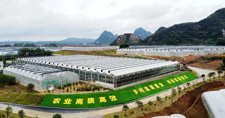 国有企业投资现代设施农业种植，选哪种温室大棚比较合适？