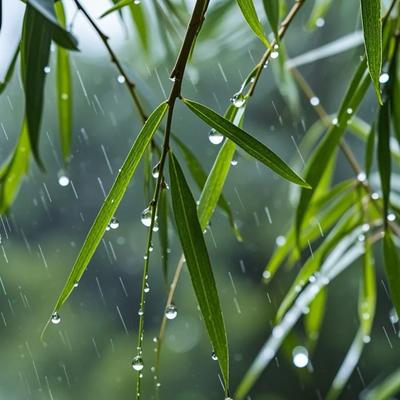 Oo宝福oO：草叶同燃生命真辽阔、枯荣有