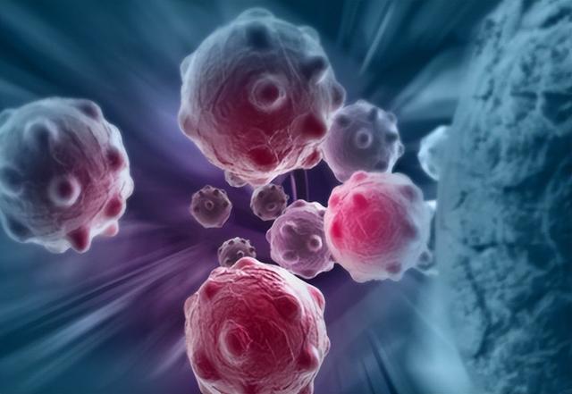 研究发现：缺镁的人抗癌能力或更差！其实，常吃3类食物就能补