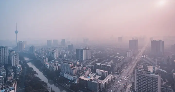 2026年，大家都开始不装了！