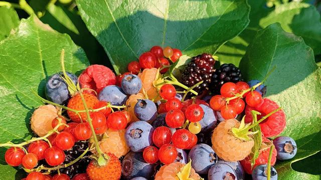 娟姐说：，到底哪个重要呢